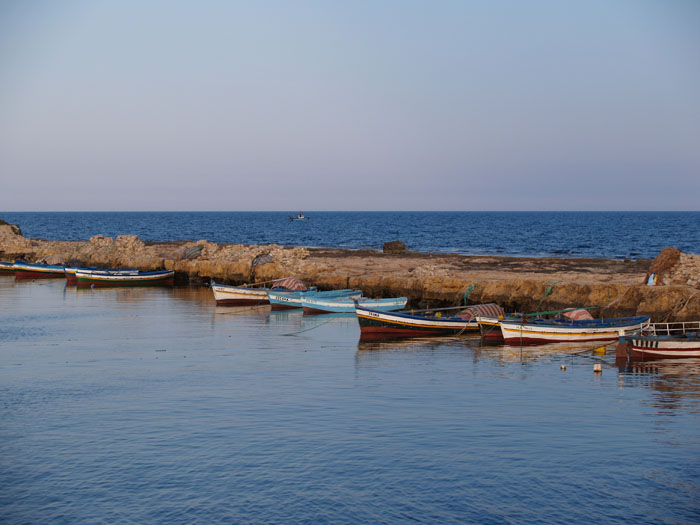 Madhia_0158