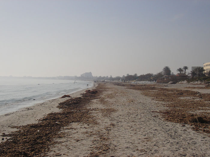 Madhia_0210