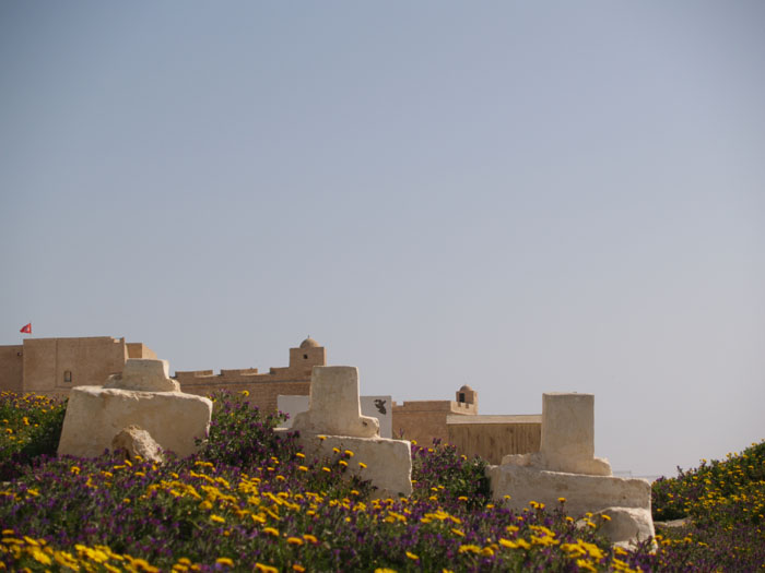 Madhia_0250