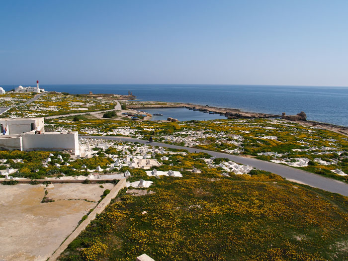 Madhia_0295