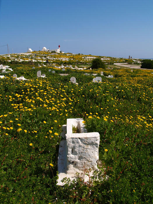 Madhia_0317