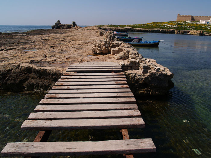Madhia_0329