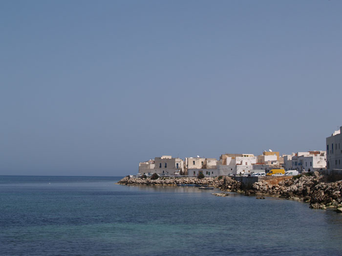 Madhia_0804