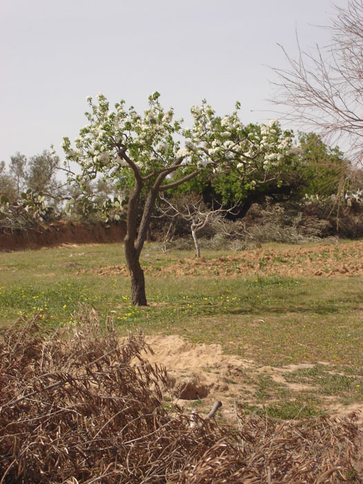 Madhia_0917