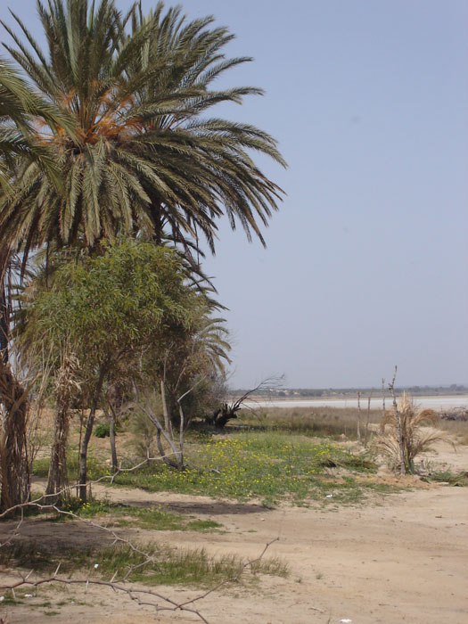 Madhia_0918