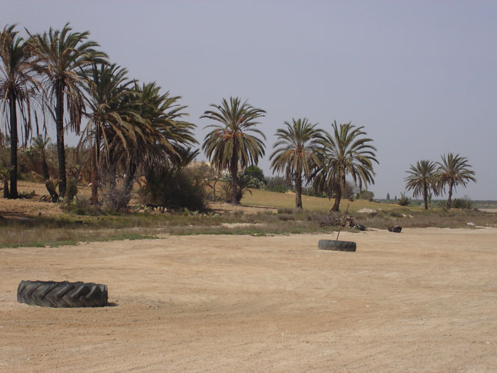 Madhia_0921