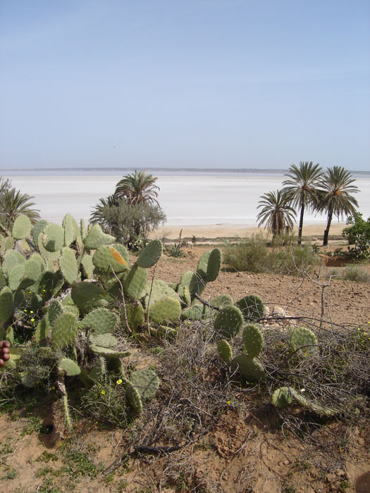 Madhia_0928