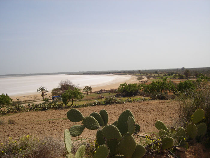 Madhia_0929