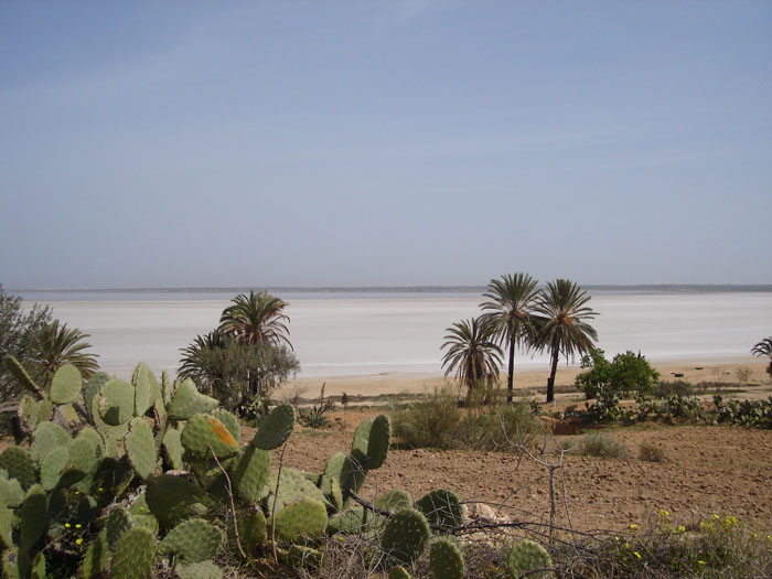 Madhia_0930