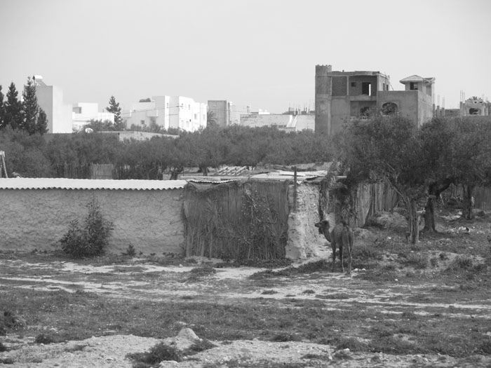Madhia_1047