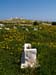 Madhia_0317