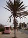 Madhia_0458