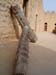 Madhia_0671
