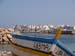Madhia_0811