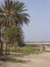 Madhia_0918