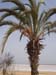 Madhia_0926