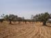 Madhia_0933