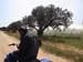 Madhia_0938