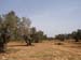 Madhia_0939