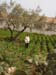 Madhia_0979